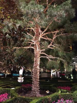 Viele kleine Lichter ranken sich an Ketten um einen Baum und erleuchten diesen in der Nacht.