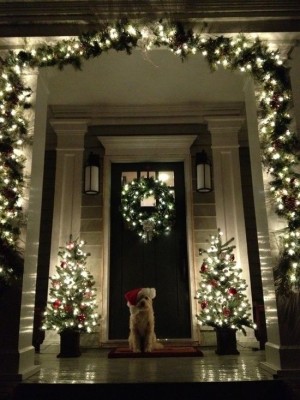 Ein üppig erleuchteter Hauseingang mit Säulen, die mit Tannenzweigen und Lichterketten umwickelt sind, einem leuchtenden Türkranz und kleinen leuchtenden Weihnachtsbäumen rechts und links daneben. Davor sitzt ein kleiner Hund.