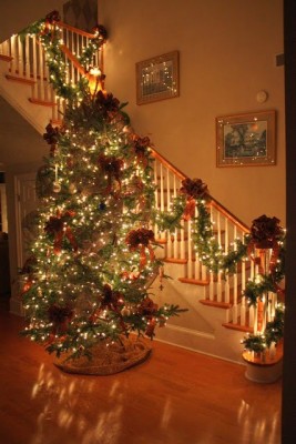 In einem Eingangsbereich eines Hauses steht vor dem Treppenaufgang ein schön geschmückter Weihnachtsbaum samt Lichterketten.