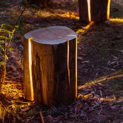 Eine rustikale Lampe aus einem Baumstamm