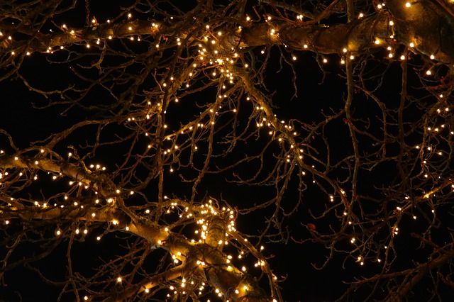 Lichter leuchten an einem Baum