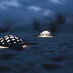 Outdoorlampe im Schildkröten-Look