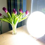 Tageslichtlampe strahlt einen Strauß pinker Tulpen an