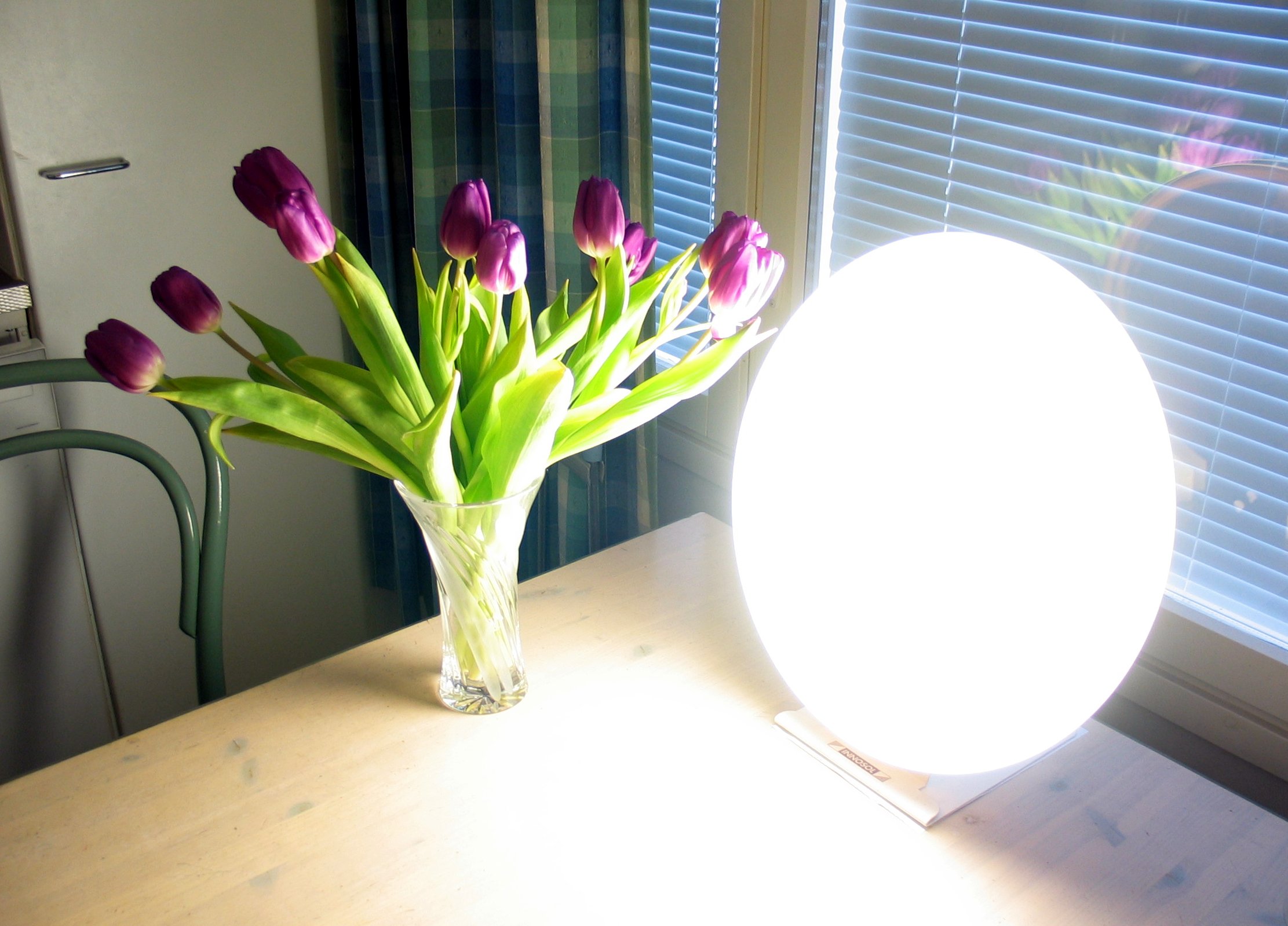 Tageslichtlampe strahlt einen Strauß pinker Tulpen an