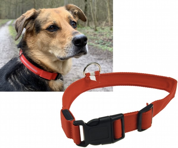 Hunde-Halsband leuchtend mit LED 52-60cm, Größe XL, rot